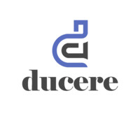 Ducere Consultoria Educacional Logo