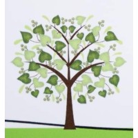 Mildura Paediatrics Logo