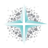 Lucida Medical Ltd Logo