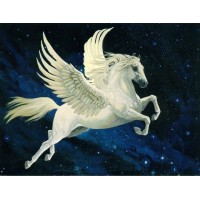 PromoteYourBusiness.com.au Logo