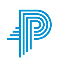 People 4 Projects Logo