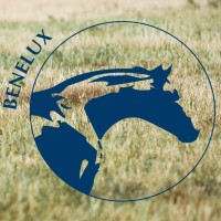 Reverdy Benelux Logo