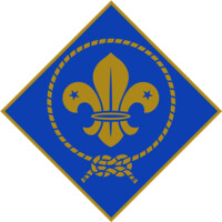 The European Scout Foundation Logo