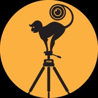 POD(Photographer On Demand) Logo