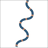 CIRCA Scientific Logo
