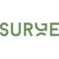 SURGE advisory Logo