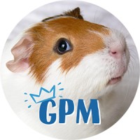 Guinea Pig Magazine Logo