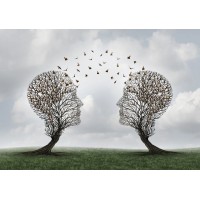 Arc Connections Logo