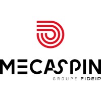 MECASPIN Logo