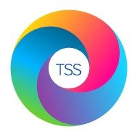 ThinkBiG Software Solutions Logo