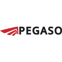 Pegaso Servizi Srl Logo
