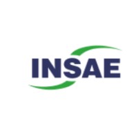 Grupo Insae Logo