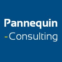 PANNEQUIN CONSULTING Logo