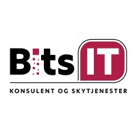BitsIT AS Logo