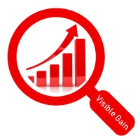 Visible Gain Logo