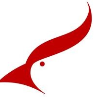 Cardinal Capital Commercial Finance Logo