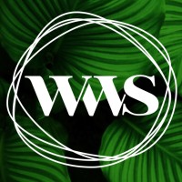 World Wide Shine Logo