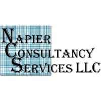 Napier Consultancy Services LLC Logo