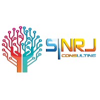 SI NRJ consulting Logo
