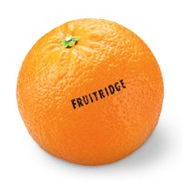 Fruitridge Printing Logo