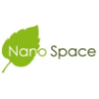 Nano Space Logo