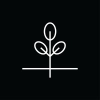 Projekt Indigo Logo