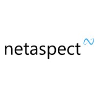 Netaspect Software BV Logo