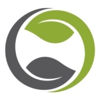 From The Forest Logo