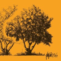 Orange Tree Translations Logo