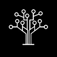 White Birch Technologies Logo