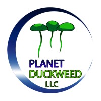 Planet Duckweed Logo