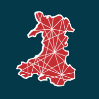 BSV Wales Logo