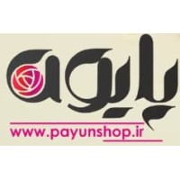 Payunshop.ir Logo