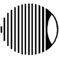 East Florida Eye Institute Logo