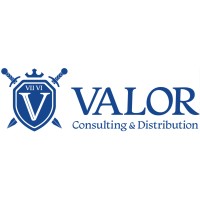 Valor Consulting & Distribution Logo