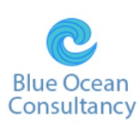 Blue Ocean Consultancy Logo