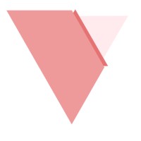 Virago virtual admin & project services Logo
