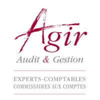 Agir Audit & Gestion Logo