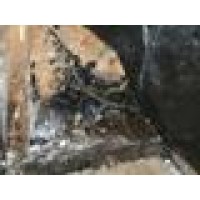 Chi Contractors Logo