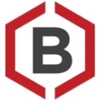 BIGIS Experts-Conseils Logo