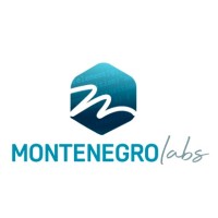 MontenegroLABS Logo