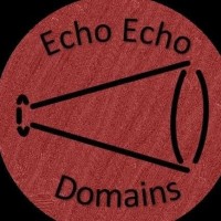 EchoEcho Domains Logo