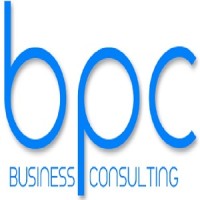 Business Process Consultant Logo