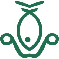 Flying Fish eFoils Logo