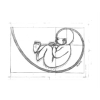 WNY Orofacial & Breastfeeding Support Center of WNY Logo