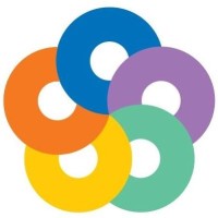 The New North Academy Logo