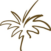 Ultra Palm Optical Logo
