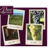 Riverview Vineyard Logo