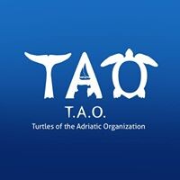 TAO Turtles of the Adriatic Organization Logo