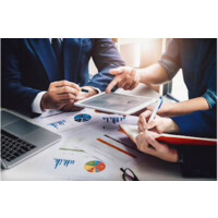 APA Capital Advisors Private Limited Logo